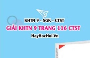 Giải KHTN 9 trang 116 Chân trời sáng tạo SGK